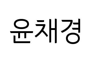 KPOP APRIL(에이프릴、エイプリル) 윤채경 (チェギョン) コンサート用　応援ボード・うちわ　韓国語/ハングル文字型紙 通常