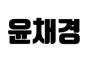 KPOP APRIL(에이프릴、エイプリル) 윤채경 (チェギョン) コンサート用　応援ボード・うちわ　韓国語/ハングル文字型紙 通常
