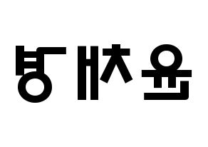 KPOP APRIL(에이프릴、エイプリル) 윤채경 (ユン・チェギョン, チェギョン) 応援ボード、うちわ無料型紙、応援グッズ 左右反転