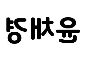 KPOP APRIL(에이프릴、エイプリル) 윤채경 (チェギョン) 応援ボード・うちわ　韓国語/ハングル文字型紙 左右反転