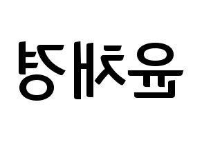 KPOP APRIL(에이프릴、エイプリル) 윤채경 (チェギョン) k-pop アイドル名前 ファンサボード 型紙 左右反転