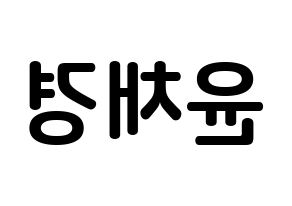 KPOP APRIL(에이프릴、エイプリル) 윤채경 (ユン・チェギョン, チェギョン) k-pop アイドル名前　ボード 言葉 左右反転