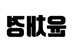 KPOP APRIL(에이프릴、エイプリル) 윤채경 (チェギョン) コンサート用　応援ボード・うちわ　韓国語/ハングル文字型紙 左右反転