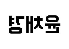 KPOP APRIL(에이프릴、エイプリル) 윤채경 (チェギョン) k-pop アイドル名前 ファンサボード 型紙 左右反転