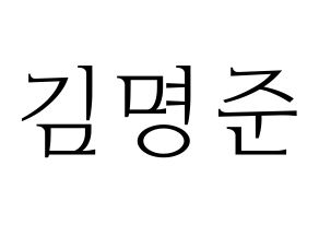 KPOP ASTRO(아스트로、アストロ) MJ (MJ) 応援ボード・うちわ　韓国語/ハングル文字型紙 通常