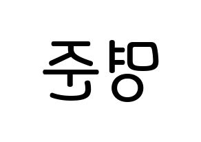 KPOP ASTRO(아스트로、アストロ) MJ (キム・ミョンジュン, MJ) 無料サイン会用、イベント会用応援ボード型紙 左右反転