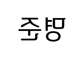 KPOP ASTRO(아스트로、アストロ) MJ (MJ) プリント用応援ボード型紙、うちわ型紙　韓国語/ハングル文字型紙 左右反転