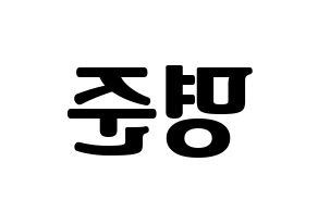 KPOP ASTRO(아스트로、アストロ) MJ (MJ) コンサート用　応援ボード・うちわ　韓国語/ハングル文字型紙 左右反転
