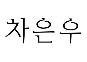 KPOP ASTRO(아스트로、アストロ) 차은우 (チャ・ウヌ) 応援ボード・うちわ　韓国語/ハングル文字型紙 通常
