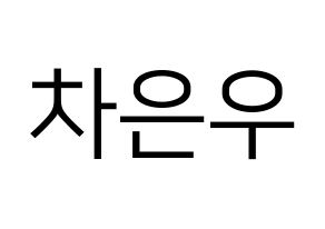 KPOP ASTRO(아스트로、アストロ) 차은우 (チャ・ウヌ) プリント用応援ボード型紙、うちわ型紙　韓国語/ハングル文字型紙 通常