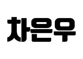KPOP ASTRO(아스트로、アストロ) 차은우 (チャ・ウヌ) コンサート用　応援ボード・うちわ　韓国語/ハングル文字型紙 通常