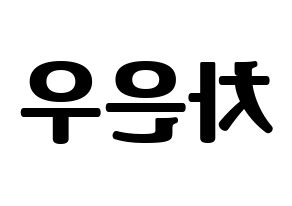KPOP ASTRO(아스트로、アストロ) 차은우 (チャ・ウヌ) コンサート用　応援ボード・うちわ　韓国語/ハングル文字型紙 左右反転