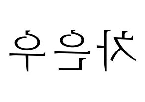 KPOP ASTRO(아스트로、アストロ) 차은우 (チャ・ウヌ) 応援ボード・うちわ　韓国語/ハングル文字型紙 左右反転