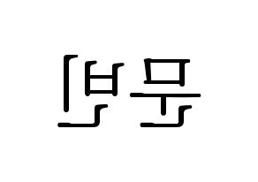 KPOP ASTRO(아스트로、アストロ) 문빈 (ムンビン) 応援ボード・うちわ　韓国語/ハングル文字型紙 左右反転