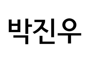 KPOP ASTRO(아스트로、アストロ) 진진 (パク・ジヌ, ジンジン) 無料サイン会用、イベント会用応援ボード型紙 通常