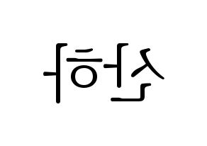 KPOP ASTRO(아스트로、アストロ) 윤산하 (ユン・サナ) 応援ボード・うちわ　韓国語/ハングル文字型紙 左右反転