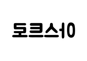 KPOP歌手 ASTRO(아스트로、アストロ) 応援ボード型紙、うちわ型紙　韓国語/ハングル文字 左右反転