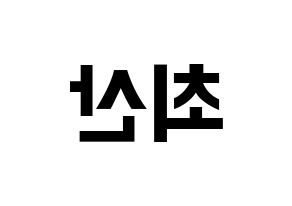 KPOP ATEEZ(에이티즈、エイティーズ) 산 (サン) k-pop アイドル名前 ファンサボード 型紙 左右反転