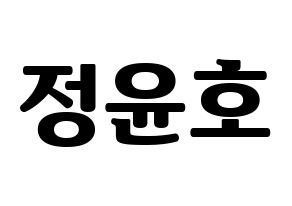 KPOP ATEEZ(에이티즈、エイティーズ) 윤호 (ユノ) コンサート用　応援ボード・うちわ　韓国語/ハングル文字型紙 通常