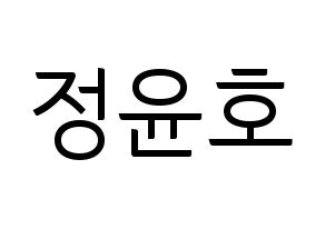 KPOP ATEEZ(에이티즈、エイティーズ) 윤호 (ユノ) コンサート用　応援ボード・うちわ　韓国語/ハングル文字型紙 通常