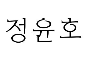 KPOP ATEEZ(에이티즈、エイティーズ) 윤호 (ユノ) 応援ボード・うちわ　韓国語/ハングル文字型紙 通常