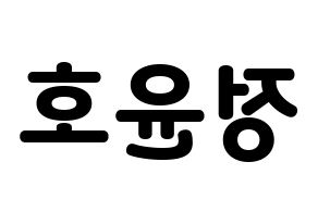 KPOP ATEEZ(에이티즈、エイティーズ) 윤호 (ユノ) 応援ボード・うちわ　韓国語/ハングル文字型紙 左右反転