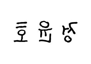 KPOP ATEEZ(에이티즈、エイティーズ) 윤호 (ユノ) k-pop アイドル名前 ファンサボード 型紙 左右反転