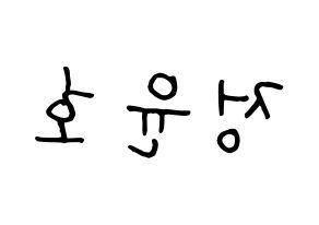 KPOP ATEEZ(에이티즈、エイティーズ) 윤호 (ユノ) k-pop 応援ボード メッセージ 型紙 左右反転
