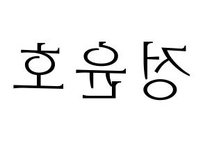KPOP ATEEZ(에이티즈、エイティーズ) 윤호 (ユノ) 応援ボード・うちわ　韓国語/ハングル文字型紙 左右反転