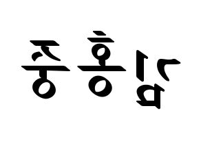 KPOP ATEEZ(에이티즈、エイティーズ) 홍중 (ホンジュン) 応援ボード ハングル 型紙  左右反転