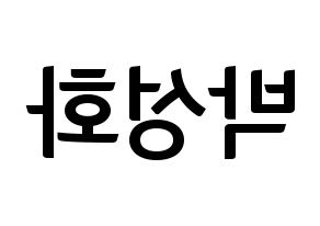 KPOP ATEEZ(에이티즈、エイティーズ) 성화 (ソンファ) k-pop アイドル名前 ファンサボード 型紙 左右反転