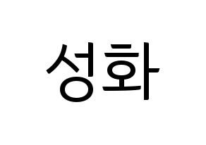 KPOP ATEEZ(에이티즈、エイティーズ) 성화 (ソンファ) コンサート用　応援ボード・うちわ　韓国語/ハングル文字型紙 通常