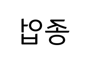 KPOP B.A.P(비에이피、ビーエイピー) 종업 (ジョンオプ) コンサート用　応援ボード・うちわ　韓国語/ハングル文字型紙 左右反転