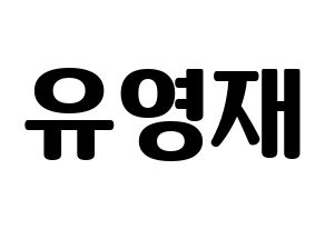 KPOP B.A.P(비에이피、ビーエイピー) 영재 (ヨンジェ) コンサート用　応援ボード・うちわ　韓国語/ハングル文字型紙 通常