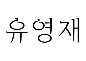 KPOP B.A.P(비에이피、ビーエイピー) 영재 (ヨンジェ) 応援ボード・うちわ　韓国語/ハングル文字型紙 通常