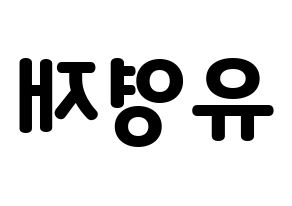 KPOP B.A.P(비에이피、ビーエイピー) 영재 (ヨンジェ) 応援ボード・うちわ　韓国語/ハングル文字型紙 左右反転