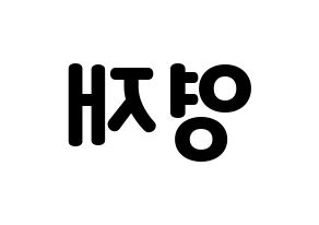 KPOP B.A.P(비에이피、ビーエイピー) 영재 (ヨンジェ) 応援ボード・うちわ　韓国語/ハングル文字型紙 左右反転