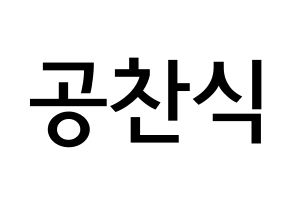 KPOP B1A4(비원에이포、ビーワンエーフォー) 공찬 (コン・チャンシク, ゴンチャン) 無料サイン会用、イベント会用応援ボード型紙 通常