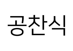 KPOP B1A4(비원에이포、ビーワンエーフォー) 공찬 (ゴンチャン) プリント用応援ボード型紙、うちわ型紙　韓国語/ハングル文字型紙 通常