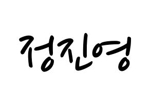 KPOP B1A4(비원에이포、ビーワンエーフォー) 진영 (ジニョン) 応援ボード ハングル 型紙  通常