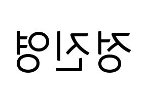 KPOP B1A4(비원에이포、ビーワンエーフォー) 진영 (ジニョン) コンサート用　応援ボード・うちわ　韓国語/ハングル文字型紙 左右反転