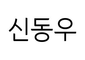 KPOP B1A4(비원에이포、ビーワンエーフォー) 신우 (シヌゥ) コンサート用　応援ボード・うちわ　韓国語/ハングル文字型紙 通常