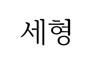 KPOP Berry Good(베리굿、ベリー・グッド) 세형 (セヒョン) 応援ボード・うちわ　韓国語/ハングル文字型紙 通常