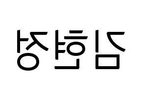 KPOP Berry Good(베리굿、ベリー・グッド) 다예 (ダイェ) コンサート用　応援ボード・うちわ　韓国語/ハングル文字型紙 左右反転