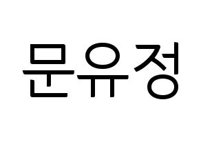 KPOP Berry Good(베리굿、ベリー・グッド) 고운 (ゴウン) コンサート用　応援ボード・うちわ　韓国語/ハングル文字型紙 通常