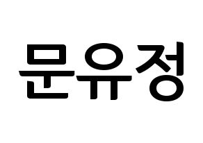 KPOP Berry Good(베리굿、ベリー・グッド) 고운 (ゴウン) k-pop アイドル名前 ファンサボード 型紙 通常