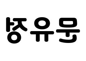 KPOP Berry Good(베리굿、ベリー・グッド) 고운 (ゴウン) 応援ボード・うちわ　韓国語/ハングル文字型紙 左右反転