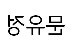 KPOP Berry Good(베리굿、ベリー・グッド) 고운 (ゴウン) コンサート用　応援ボード・うちわ　韓国語/ハングル文字型紙 左右反転