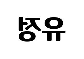 KPOP Berry Good(베리굿、ベリー・グッド) 고운 (ゴウン) コンサート用　応援ボード・うちわ　韓国語/ハングル文字型紙 左右反転