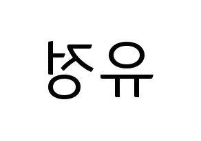 KPOP Berry Good(베리굿、ベリー・グッド) 고운 (ゴウン) コンサート用　応援ボード・うちわ　韓国語/ハングル文字型紙 左右反転